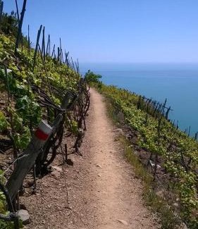 Volastra House | CREUZA DE 5 TERRE