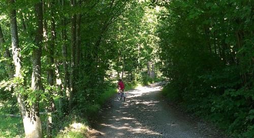 Zetea House | Csendes Bükk 2 Kulcsosház