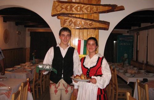 Siculeni Hotel | Cserekert, Alszegi Porta