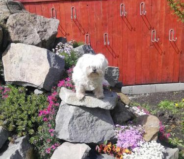 Siculeni House | Csicsói Csűrház