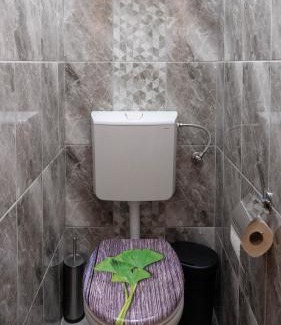 Erdohorvati Apartment | Csobogó-patak Vendégház