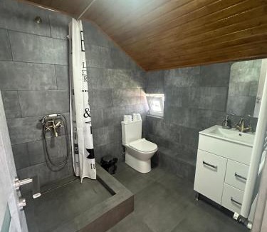 Cartisoara House | CTA House