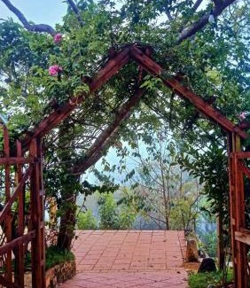 Da Lat Apartment | Cub Homestay- Đồi quạt gió