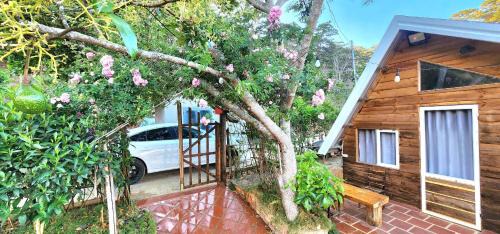 Da Lat Apartment | Cub Homestay- Đồi quạt gió