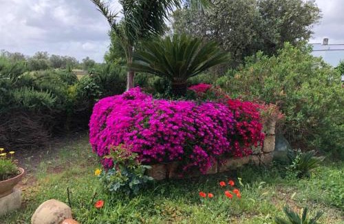 Monteroni di Lecce Bed & Breakfast | Curti Russi