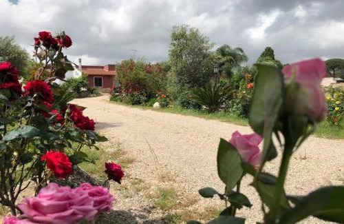 Monteroni di Lecce Bed & Breakfast | Curti Russi