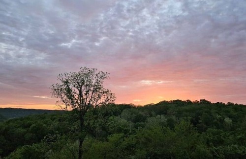 Madison Cabin | Custom-Built Cabin - Quiet Setting - Amazing Views