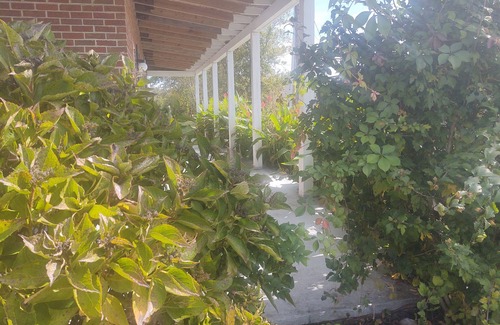 Cape Charles Apartment | Cute and Cozy Vacation Stay on the Eastern Shore!