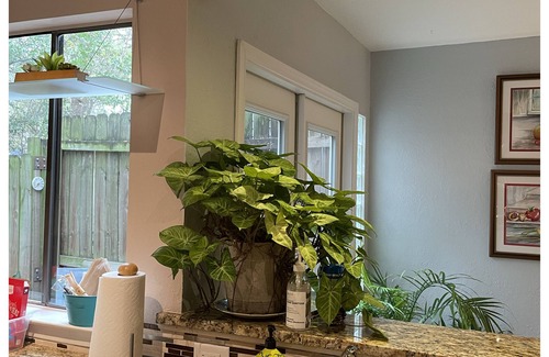 South Lamar Condo | Cute condo - South Central Austin (4 miles from downtown)