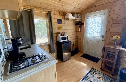 Kenai Cabin | Cute & Cozy Cabin @ Moose Tracks Lodging