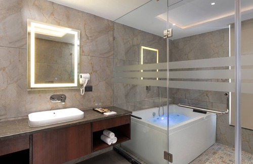 Jaipur Hotel | Cygnett Park BL