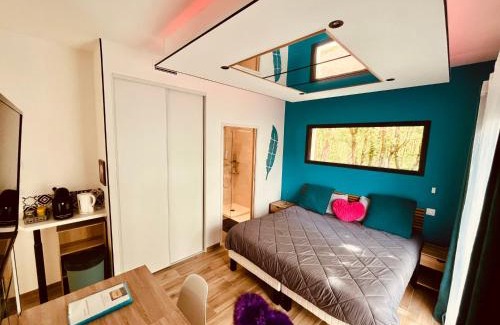 Aussonne Apartment | Dépendance 2 chambres secteur MEETT