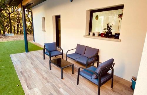 Aussonne Apartment | Dépendance 2 chambres secteur MEETT