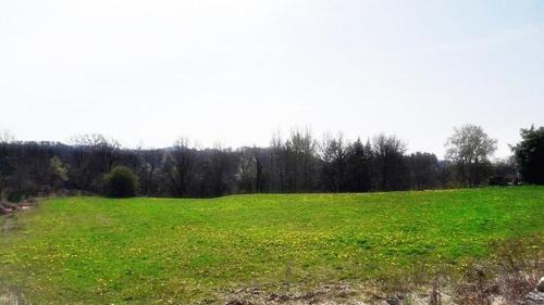 Bort-les-Orgues House | Détente