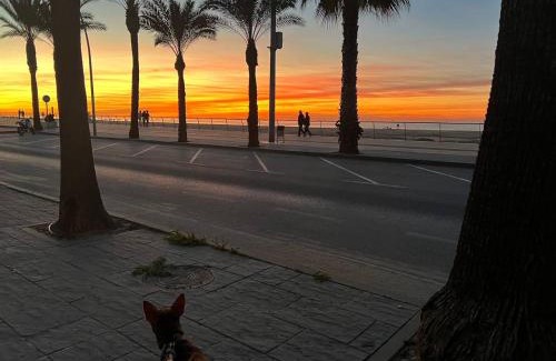 Sanlucar de Barrameda House | Dúplex junto a la playa