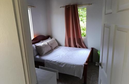 St. Patrick Apartment | d Abode Plains Saint Patrick