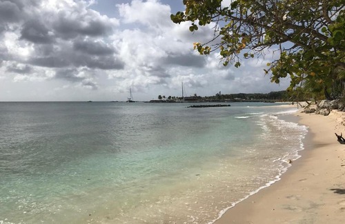 Speightstown Apartment | D'AMORE