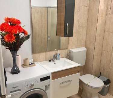 Pitesti Apartment | D&D Residence