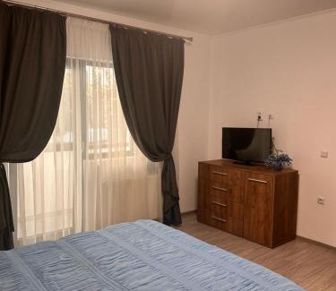 Pitesti Apartment | D&D Residence