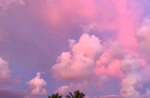 Anniwatta House | D-Lion Cottage