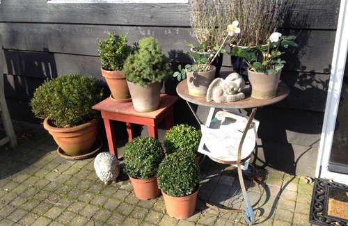 Axel Bed & Breakfast | d'Ouwe stal