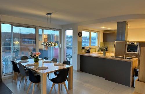 Schoenaich Apartment | D2 Luxus-Penthouse mit Dachterrasse - Bis 9 Personen - A81 - Stuttgart - Messe - Daimler - ab 5 Nächte - Business Center und Konferenzraum separat buchbar