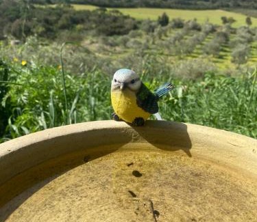 Teulada House | Da Nonno Francesco