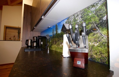 Russbach am Pass Gschuett House | Dachstein Chalet Haus B in the Dachstein West- Hallstatt ski area