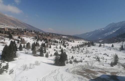 Passo del Tonale Apartment | Dallo sciatore