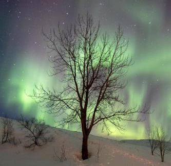 Kirkjubaejarklaustur Bed & Breakfast | Dalshöfdi Guesthouse