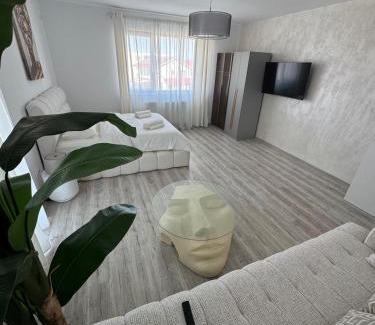 Buzau Apartment | Daly Residence