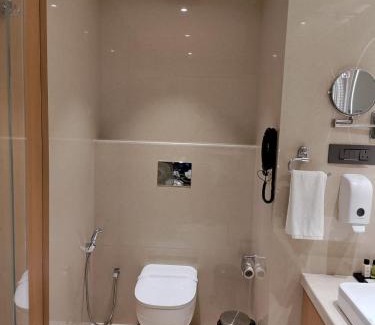 Gomti Nagar Hotel | Damson Plum