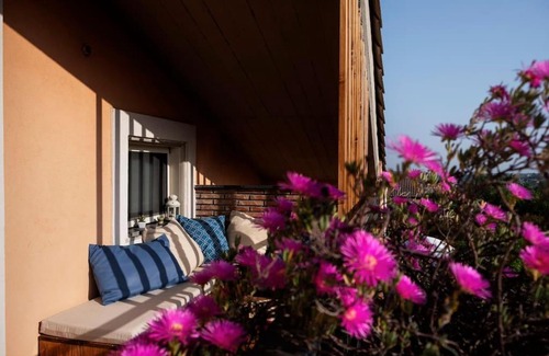 Aci Sant'Antonio Apartment | Daniele's Suite. Etna, Sea & much more.