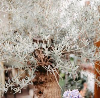 Neusiedl am See Hotel | Das Stadthaus