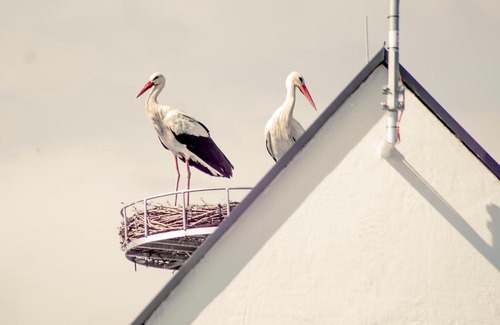 Podersdorf am See Apartment | DASWEINBERG contactless check-in
