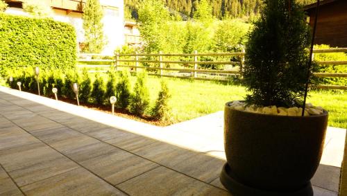 Finkenberg Apartment | db Apart