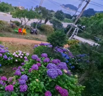 Soyu Apartment | DDeulan monthly stay