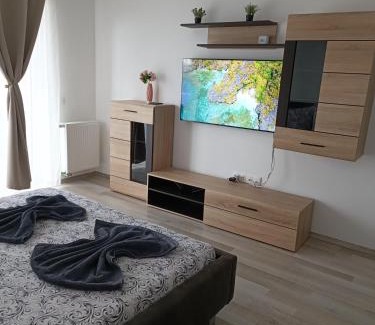 Brasov Apartment | DDM Residence