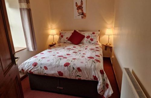 Plwmp House | Ddol Cottage Traditional Coastal cottage nr Llangrannog & New Quay with Donkeys