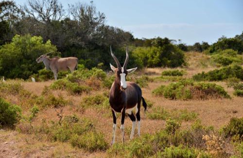 Overberg Ski Chalet | De Hoop Collection Suites