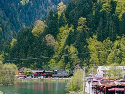Uzungol Hotel | Dear Otel Uzungöl