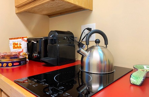 Quispamsis Apartment | Deer Paradise in Quispamsis New Brunswick w/artist studio