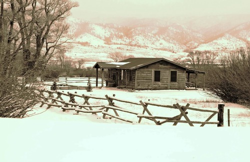 Albany County Cabin | Deerwood Station- Relax in Our Beautiful Guest Cabin!