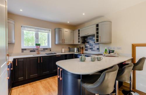 Honiton House | Defoes View