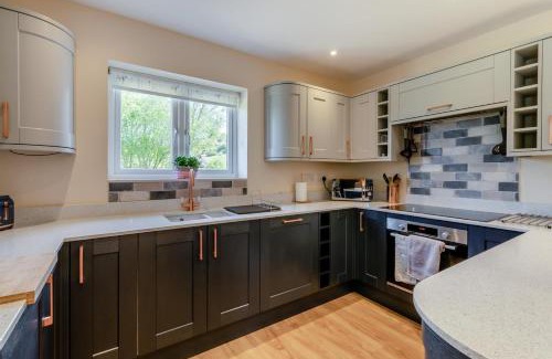 Honiton House | Defoes View