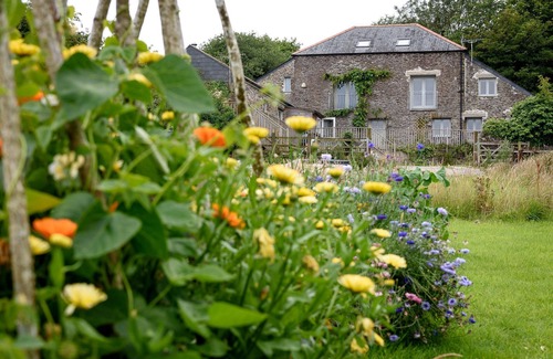 Torpoint House | Delightful pet friendly cottage in 3 acres of land just a mile from the beach.