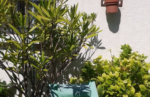 Rochefort Bed & Breakfast | delightful townhouse in Rochefort