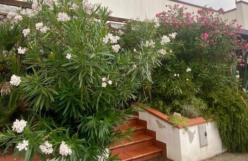 Lido delle Nazioni Apartment | Delphina House