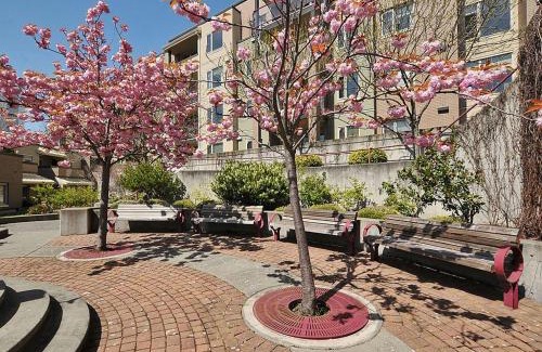 Victoria Apartment | Deluxe 2 Bed 2 Bath With Harbour And Empress Hotel Views