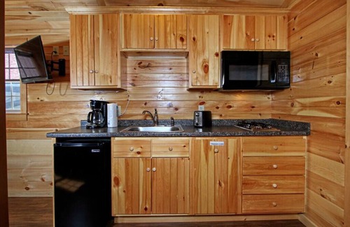 Spring Mills Cabin | Deluxe Cabin 63 w/4 Beds